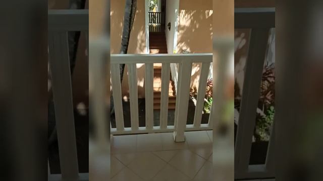 Обзор номера. Отель PlayaBachata, Доминикана. #доминикана2021 смотреть онлайн