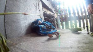 БРАТ ПОСПЕШИЛ, НО Я РАД ЕМУ ПОМОЧЬ! ОДНИМ ФЕРМЕРОМ БУДЕТ БОЛЬШЕ / ЖИЗНЬ В ДЕРЕВНЕ