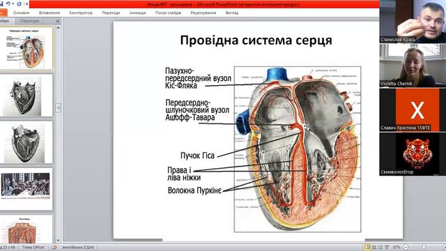 Серце (Cor). Загальне коло кровообігу (Circulus sanguineus totus) . Середостіння (Mediastinum) смотреть онлайн
