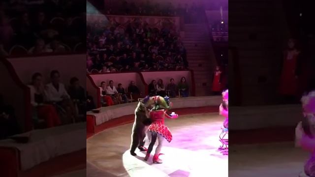 Цирковой медведь смотреть онлайн