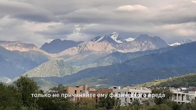 Притча-Испытание. Я сам вижу смотреть онлайн