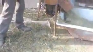 сенодробилка соломорезка дробит все зерно камыш шоп турагыш Казакстан 87024521213