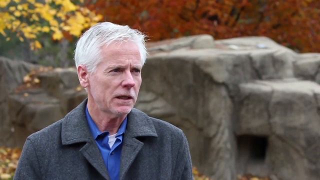 Detroit Zoo uses captive breeding to 'sustain zoo population' смотреть онлайн