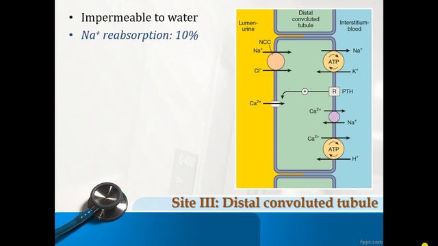 Diuretics 1 & 2 смотреть онлайн