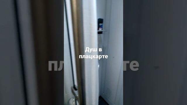 душ в плацкартном вагоне смотреть онлайн