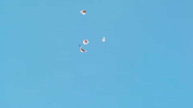 Полёт голубей в 40-градусную жару: серпасто-выворотные голуби Геннадия Кучмеева. смотреть онлайн