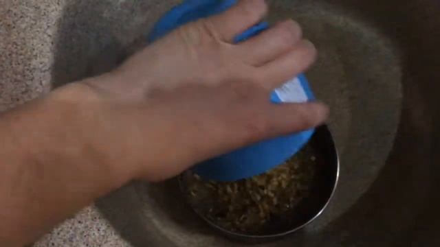 ПРОРОЩЕННЫЙ КОРМ ДЛЯ ПОПУГАЯ! ВСЕ ПРОСТО) смотреть онлайн