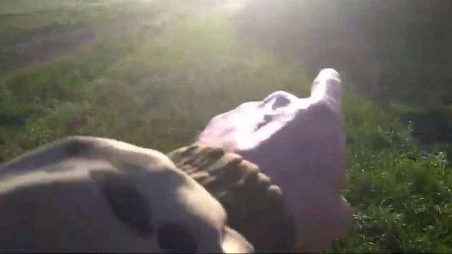 Итоги уборки озимой пшеницы сорт,, Таня,, сеянная весной смотреть онлайн