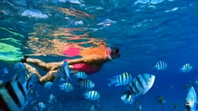 Тур в Израиль, Эйлат из Москвы от 48 000р. смотреть онлайн