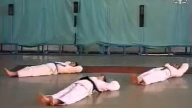 Тигр и восходящее солнце шотокана 16 смотреть онлайн