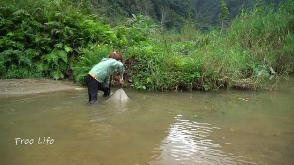 Harvesting fish - how to process it for long-term preservation