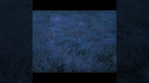 саблиминал на вампирскую красоту, любовь и ещё куча, куча всего !