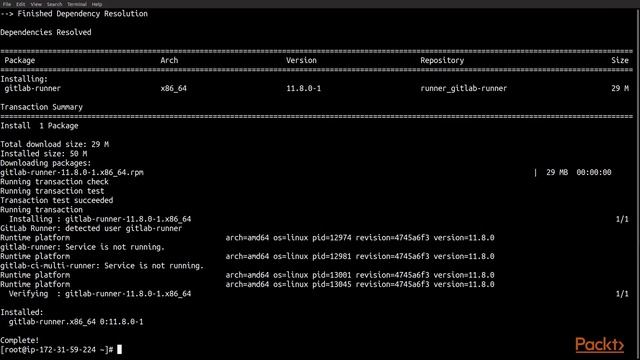 Hands-On Auto DevOps with GitLab CI: Launching Dedicated Runners | packtpub.com смотреть онлайн