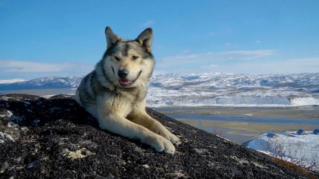 Высота / Titovka River Park / #mosspeak смотреть онлайн