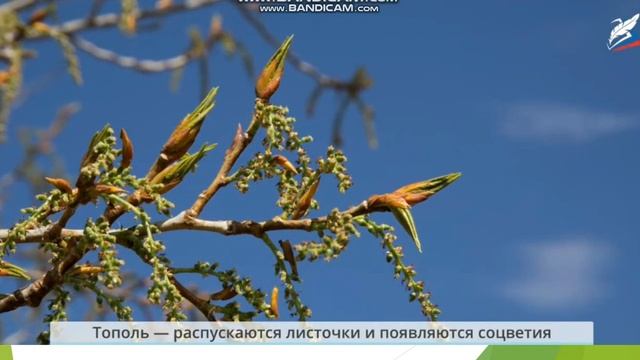 14 апреля Окружающий мир 2 класс смотреть онлайн