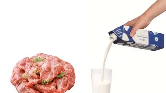 Куриное Яйцо (Сюжет) смотреть онлайн