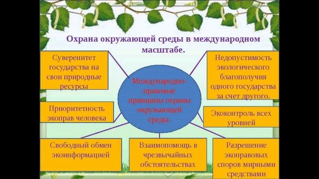 Берегите природу! 5 июня – Всемирный день охраны окружающей среды. смотреть онлайн