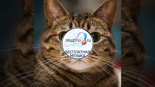 Музыка смотреть онлайн