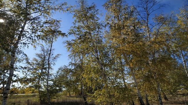 КОЛЬЦО. Приметы. Поверья смотреть онлайн