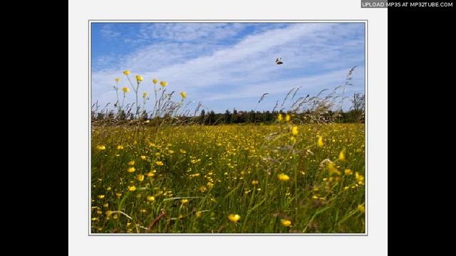 Святая Музыка (сказка для детей,читает автор) смотреть онлайн