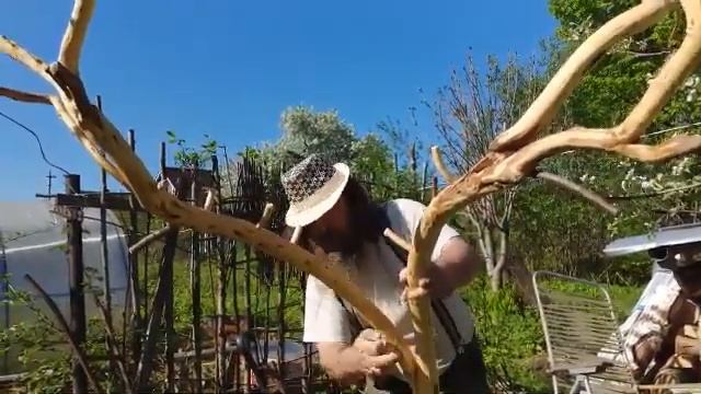 Вешалка из цельного дерева смотреть онлайн