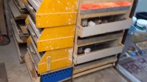 Перосъёмная машина МясТехМаш МТМ-600А NEW, моё мнение.