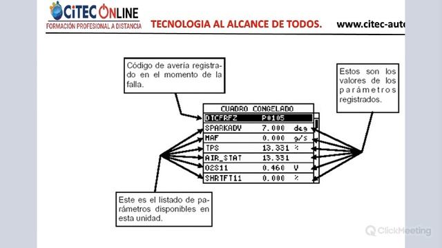 INTERPRETACIÓN DE PID+S DEL ESCANER смотреть онлайн