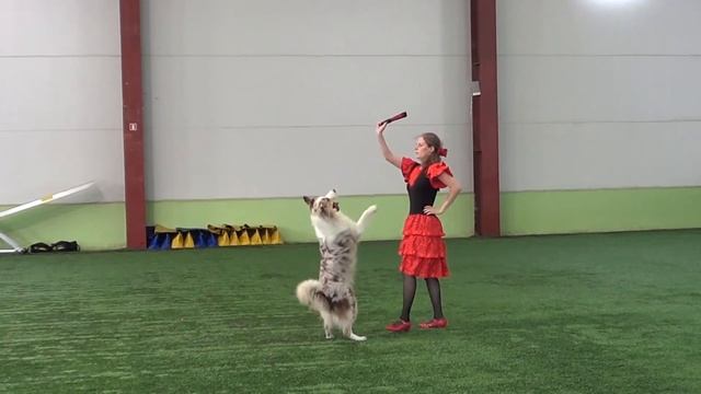 Прогресс фристайл Бекенева Яна Андреевна и Lumos Solem Barocco Фламенко смотреть онлайн