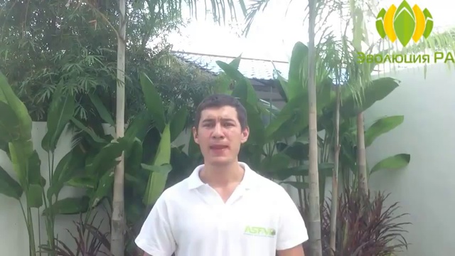 Очередная реклама Эволюции Ра.