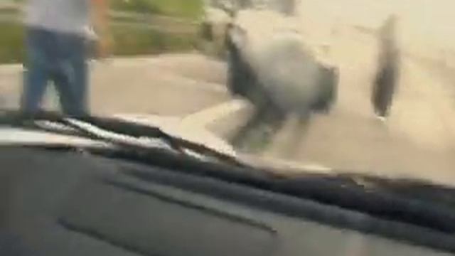 Car Crash(RollsRoyce)