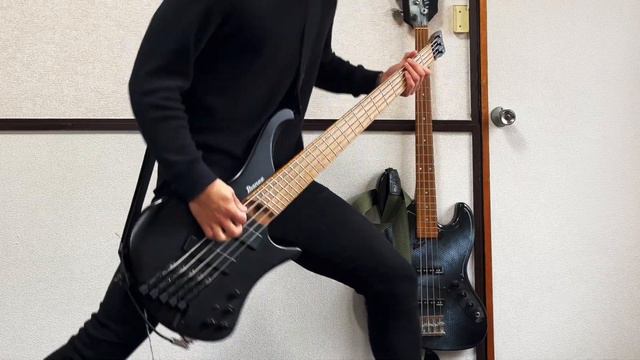 Darko US - Insects || Bass Cover смотреть онлайн