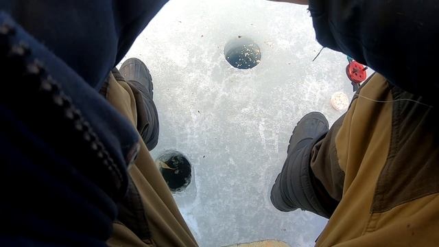 Плотва. Отличный клев!!! Весенний жор. Подледная рыбалка. смотреть онлайн