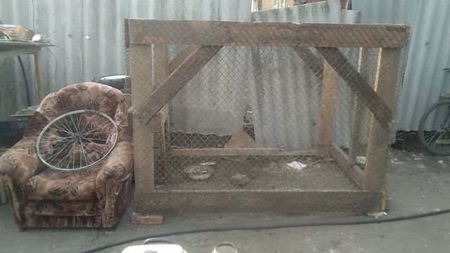 Черныш гуляет, козлики подрастают. Полтора месяца уже 🐐🐐 смотреть онлайн