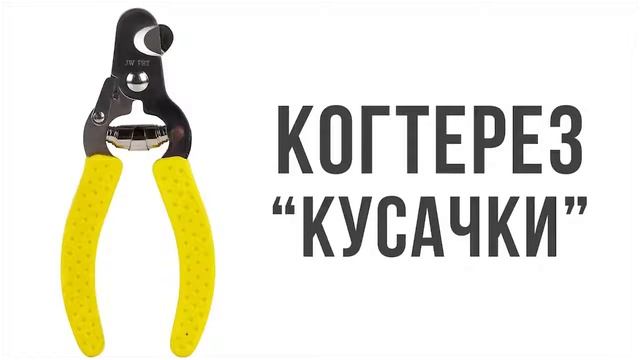 одежда для собак маленьких пород распаковка с Алиэкспресс смотреть онлайн