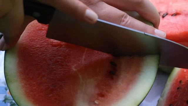 Bush Sugar Baby Watermelon Harvest-Growing Watermelons In Containers-Gardening смотреть онлайн