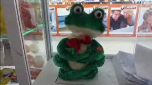 Фрогги поёт