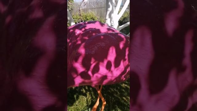 Садовая фигура