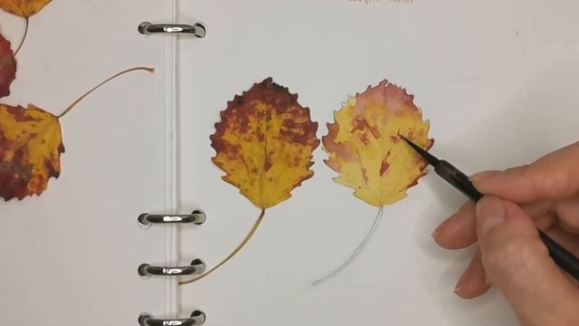 КАК НАРИСОВАТЬ ОСЕННИЙ ЛИСТ АКВАРЕЛЬЮ~ WATERCOLOR AUTUMN LEAF~ смотреть онлайн