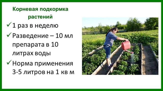 Микробиологическое удобрение "Сияние" (видеоинструкция) смотреть онлайн