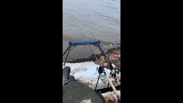 Рыбалка на реке Волге #РыбалкаОтдых. смотреть онлайн
