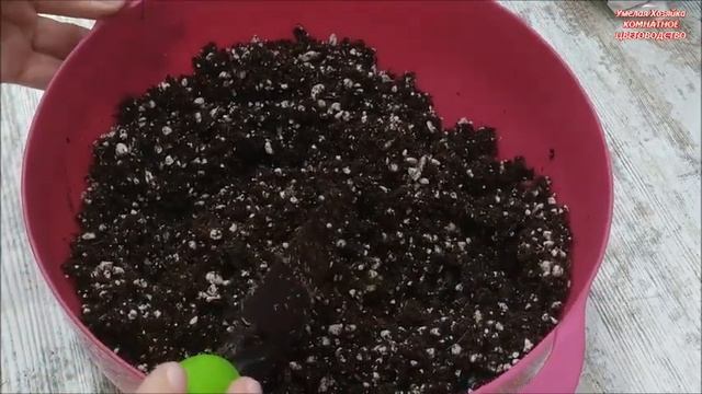 ГЛОКСИНИИ ? КАК УКОРЕНИТЬ ЛИСТОЧКИ ? САМЫЙ ЛЕГКИЙ СПОСОБ смотреть онлайн