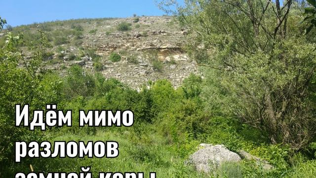 Куда бы не вели вас дороги... смотреть онлайн
