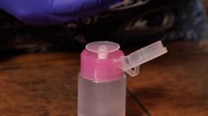 БОРЬБА С ЩИТОВКОЙ НА ЛАВРОВОМ ДЕРЕВЕ