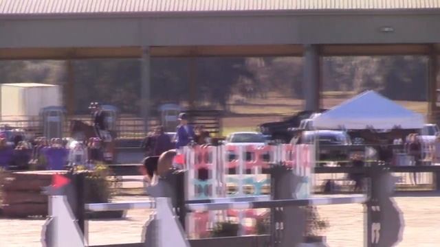 Video of FUNDAMENT E ridden by SAVANNAH UNGER from ShowNet! смотреть онлайн