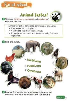 Учебник Спотлайт 4 класс стр.65.