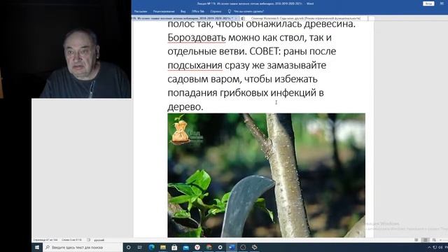 Вебинар №98. Садоводство глазами Валерий Железов смотреть онлайн