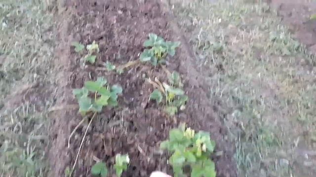 Обустройство кессона. Зимний водопровод смотреть онлайн