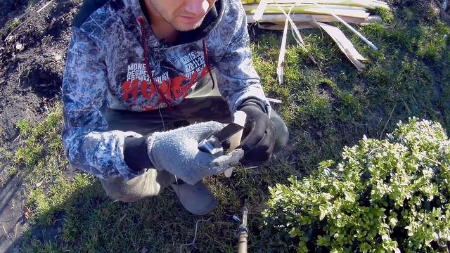 850-Bananowiec od środka,smak,wycinanie miskanta olbrzymiego,arundo donax lasecznica. смотреть онлайн