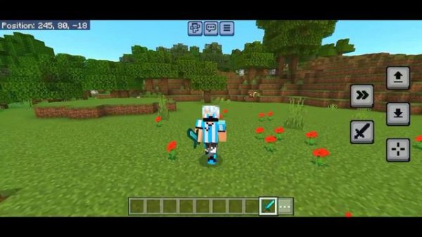 F5 button Minecraft pocket edition 1.20 resource pack
