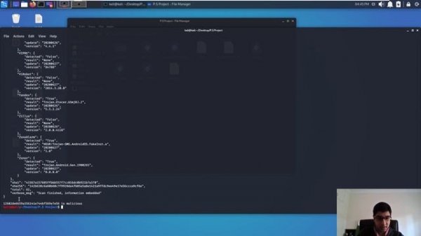 Virus Total Python script to scan hashes